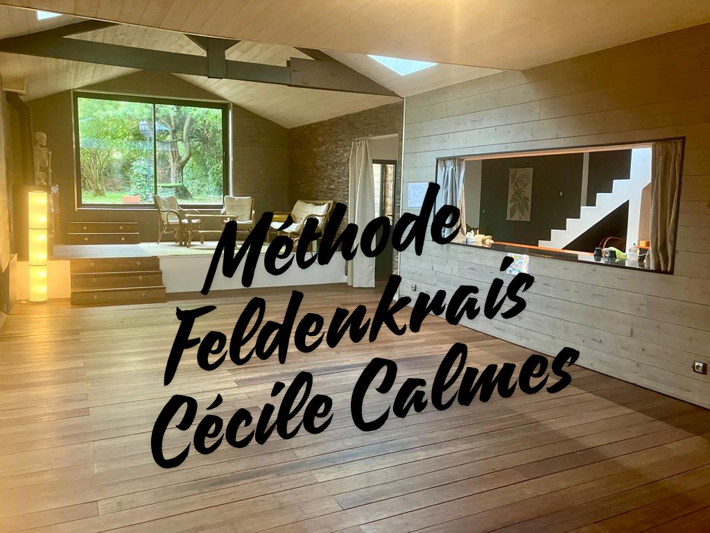 Stage De La Méthode Feldenkrais Cécile Calmes Matinée Découverte De